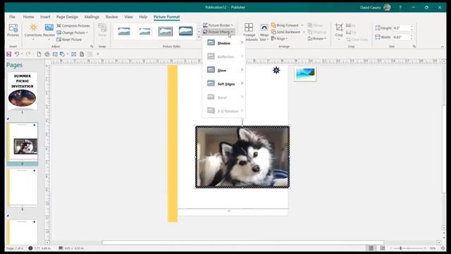 Publisher 2019 For Beginners Tutorial
