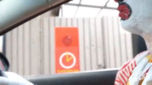 Ronald McDonald VS Cookie Monster  Рональд МакДональд против Коржика Русская озвучка