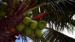 ТОП 10 - САМЫЕ НЕОБЫЧНЫЕ ПРОФЕССИИ в МИРЕ