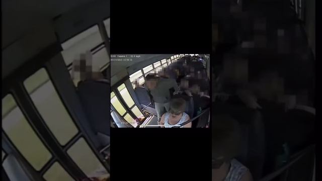 США. За рулем обезьяна - которой доверили возить детей.
