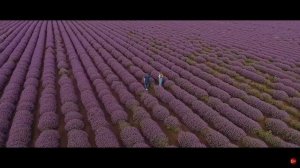 Любовь - это жизнь