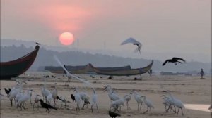 Нина Шацкая  . Романс на стихи Марины Цветаевой.