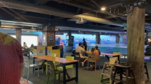 Auckland Sea Life Kelly Tarlton’s Aquarium Walk Tour New Zealand 4K