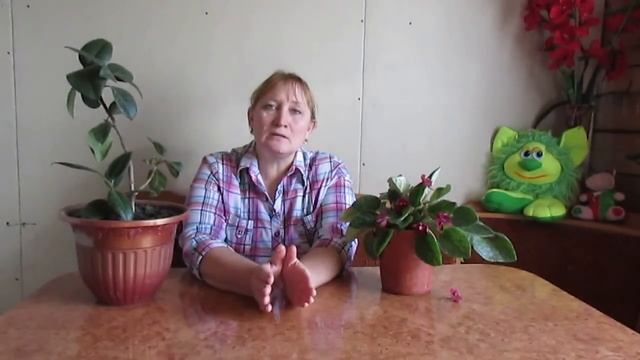 Года бегут, а мы не старые. смотреть онлайн