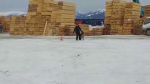 Поларис Нимбус Зигерина Кусина, керунг 06.03.2022, г. Южно-Сахалинск