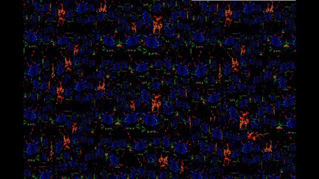 untitled trip hop 82 bpm смотреть онлайн