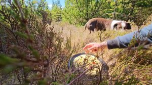 The MOST LEGENDARY Burger You Will See   Relaxing Cooking with ASMR