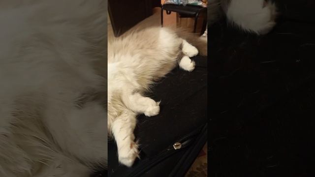 Соня -VBUi5RjqGM смотреть онлайн