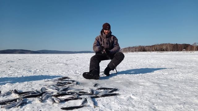 Селёдка стоит стеной. Лови сколько угодно! смотреть онлайн