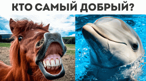 ТОП 5 ДОБРЫХ ЖИВОТНЫХ