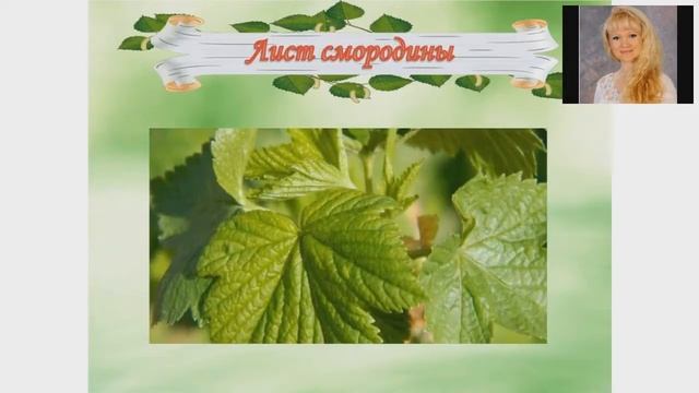 Консервация. Природные консерванты и ароматизаторы.