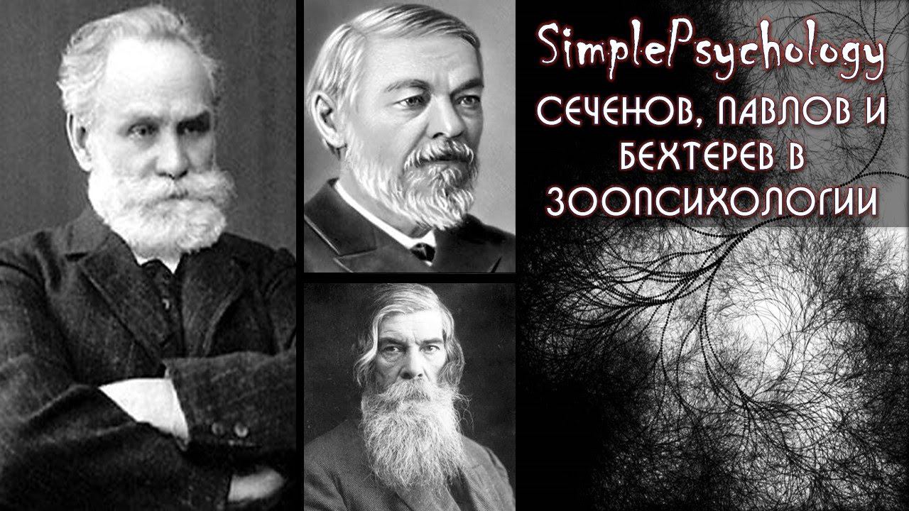 История зоопсихологии. Сеченов, Бехтерев и Павлов в зоопсихологии.