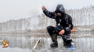 Существует ли идеальный костюм для зимней рыбалки? Как мы с Сержиком костюмы покупали!!!