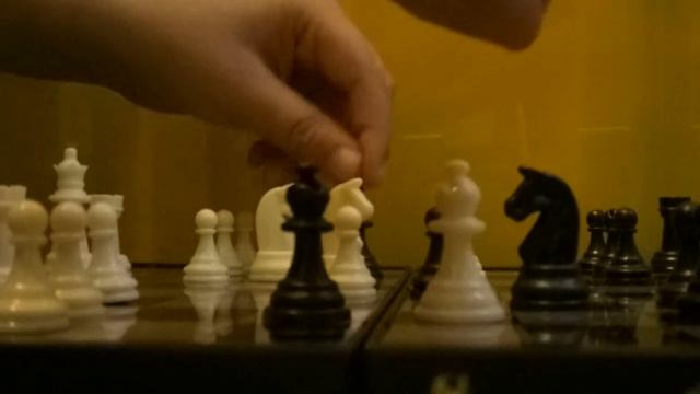 Турнир по шахматам смотреть онлайн