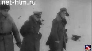 Кто на новенького