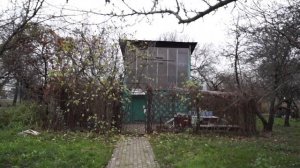 Голубиные питомники Москвы. Строгино.#голуби#pigeon#tauben#голубеводство