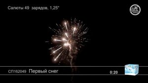 СП162049 Первый снег