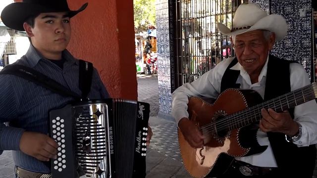 Raul flores y el pinguino (tampico hermoso) смотреть онлайн