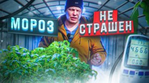 УРА я успел и уже 30 марта высадил томаты в теплицу! регион Москва