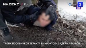 Троих пособников теракта в «Крокусе» задержала ФСБ