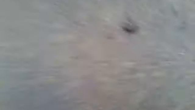 Кто дальше кинет камень макс или славик смотреть онлайн