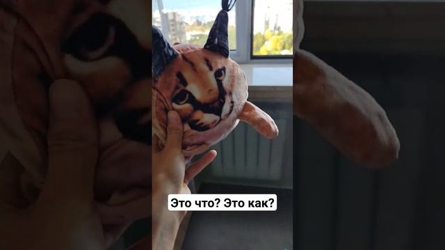 Это что? Это как? #блогер #мама #животные #дети #мамаблог