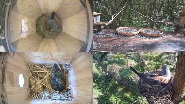 Онлайн-трансляция  - 2020.  7.05.2020 г.. Город Калуга. смотреть онлайн