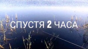 Первый заброс с берега верши (мордушка) кубрь