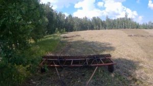 Сгребаем сено Мтз 82 с поперечными граблями. (Сезон 2020)