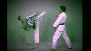 Super Kicking Techniques - 7 Kick Combinations - Bill "Superfoot" Wallace