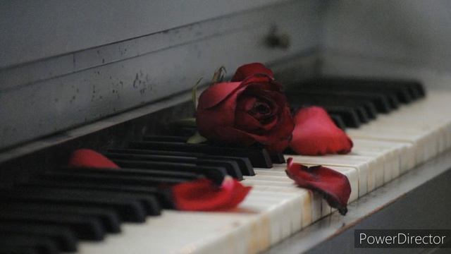 Galbena Gutuie! (Colinde piano karaoke) // Nica Zaharia смотреть онлайн