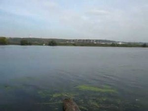 Москва река, Ленинский район, деревня Андреевское панорама (23.09.07)