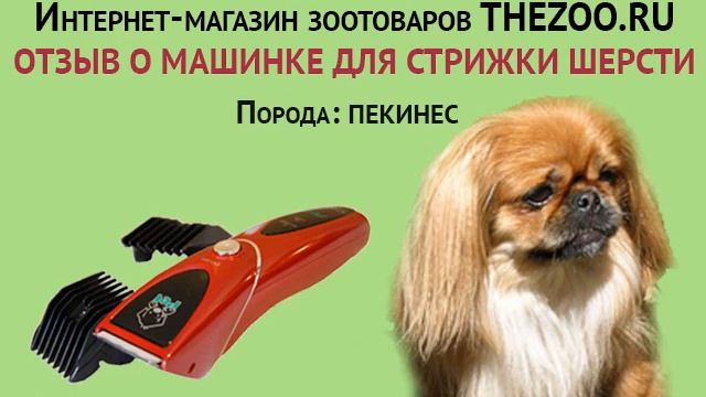 Отзыв: Светлана Ивановна, машинка Codos CP-8000, порода - пекинес смотреть онлайн