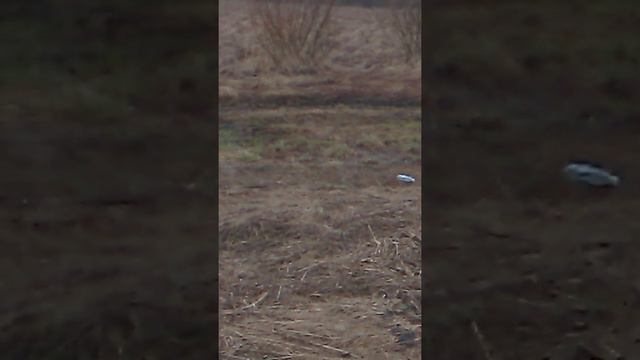 Омутнинск 20.04.2020 смотреть онлайн