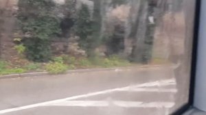 Севастопольский Троллейбус На ЛАЗ Е183 с Ул. героев Севастополя до Пл.Ушакова 15 декабря 2021