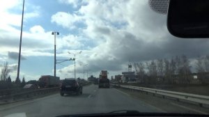 Крокодилы в Миссисипи