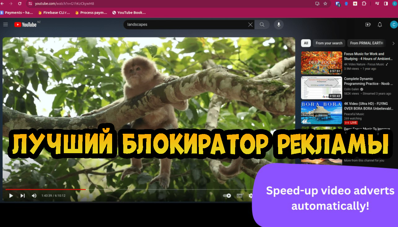Лучший блокировщик рекламы