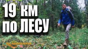 19 КМ по ЛЕСУ в поисках МОНЕТ. Что я нашел в чаще леса?  Кладомания