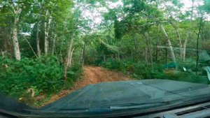 Тельновск горячие источники 3часть. (ржя)