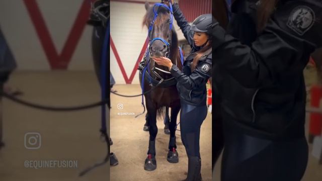 Someone’s out there looking blue-tiful today💙🐎 #equestrian #equine #horsey #horsegirls #horseriding