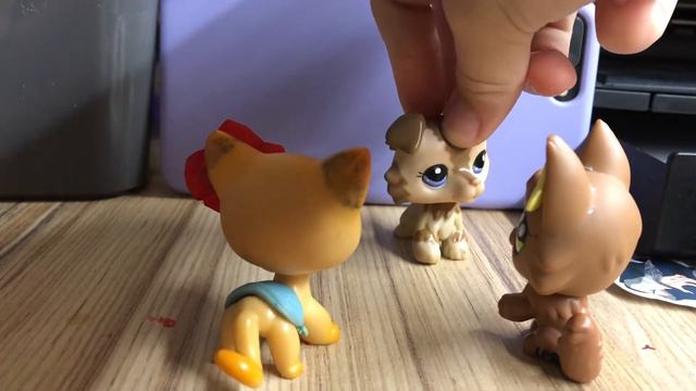 СУПЕРСКИЙ ФИЛЬМ ОТ БОГОВ ПРО ДВУХ МИЛЫХ ПАР🥺🥺❤️❤️😘😘🥰🥰( фильм странное общежитие) смотреть онлайн