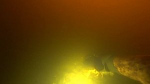 Рыболовные находки! Подводный поиск воблеров