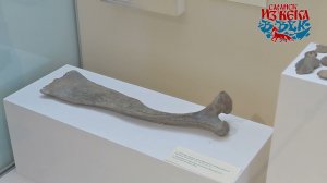 Мордовский республиканский объединенный краеведческий музей имени И.Д. Воронина