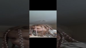 Ну как всегда совсем жадными