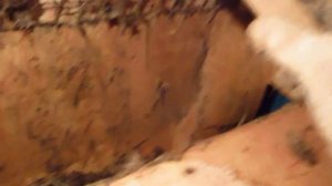 Зимнее содержание кроликов в гараже.