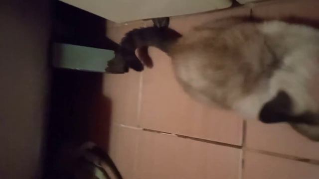 Часть 2 Смирительный борщ. смотреть онлайн