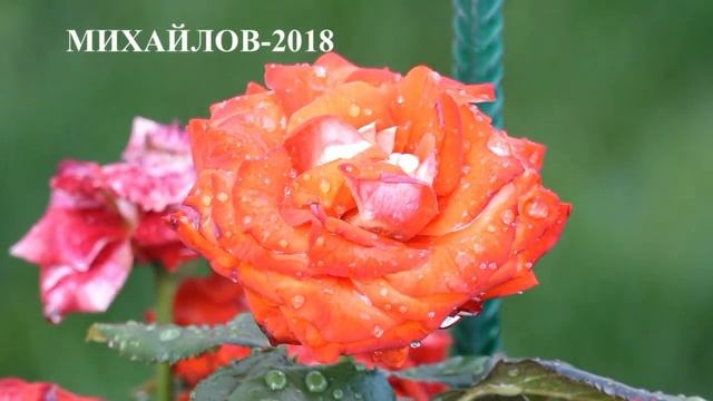 С днём рождения, любимый город! 467 годовщине Михайлова (Рязанская область) посвящается