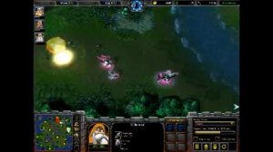 Warcraft 3 hero strategy