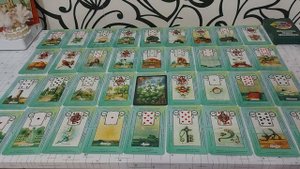 Значение карты КЛЕВЕР ? в БРЛ ?/какие значения она несёт, когда попадает в другие дома ???
