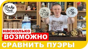 СРАВНЕНИЕ или ДЕГУСТАЦИЯ ШУ ПУЭРОВ  от Ильи Бадурова - ДА ХУ Я и ШУ ФА??? Какие они, когда вместе?